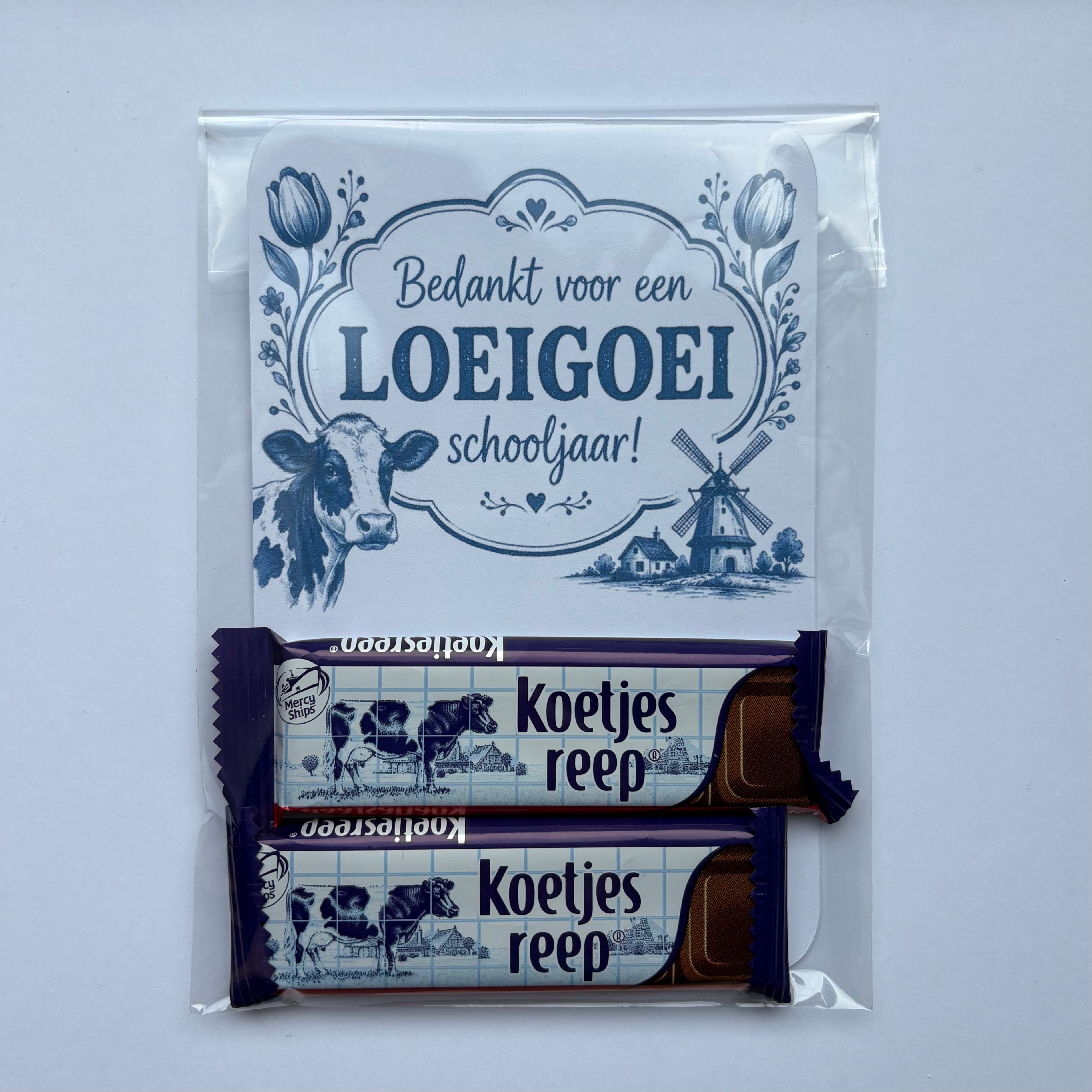 Loeigoei Schooljaar